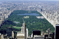 Central Park Party Package